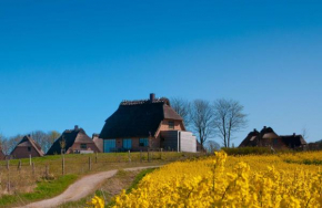 Reetdorf Geltinger Birk Künstlerkate Lagune, Nieby